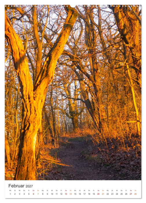 Herrliche Wanderwege (CALVENDO Premium Wandkalender 2027)