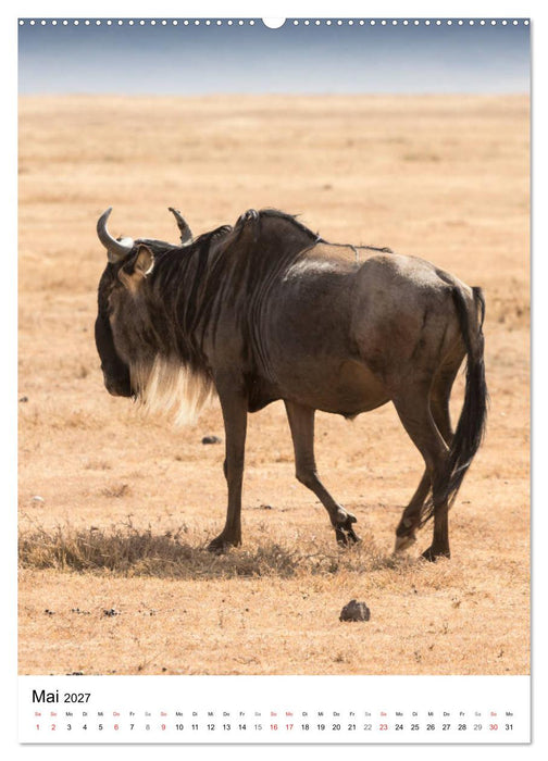 Serengeti Pur - Tansania (CALVENDO Wandkalender 2027)