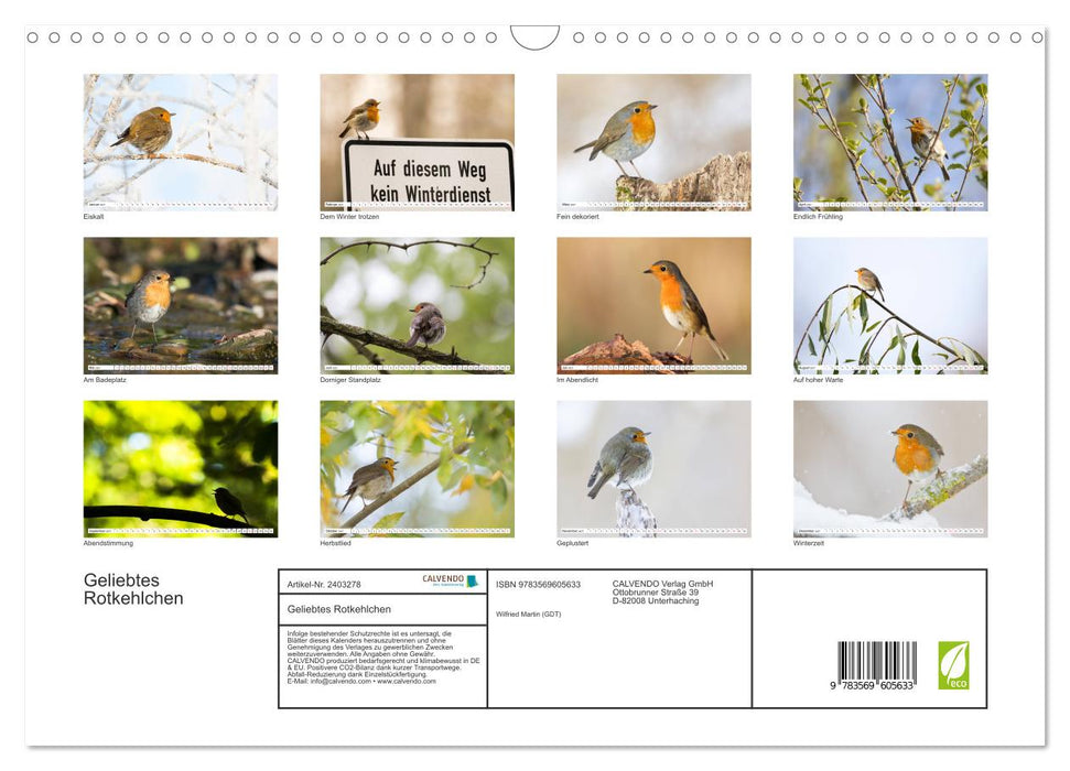 Geliebtes Rotkehlchen (CALVENDO Wandkalender 2027)