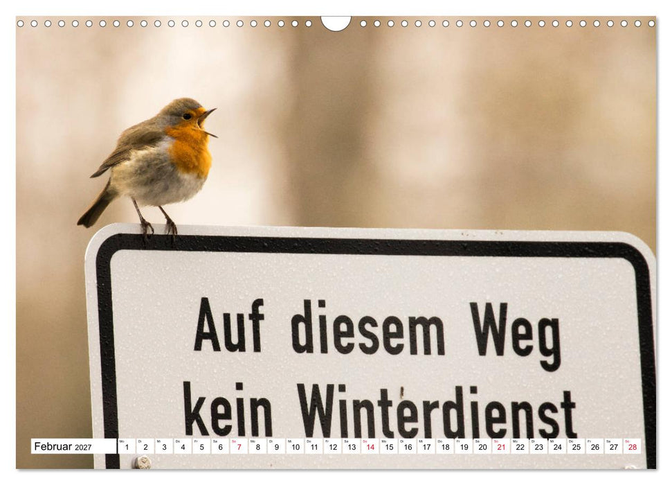 Geliebtes Rotkehlchen (CALVENDO Wandkalender 2027)