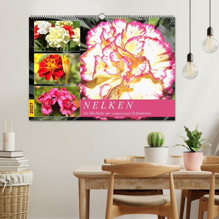 Nelken. Die Rückkehr der vergessenen Schönheiten (CALVENDO Wandkalender 2027)