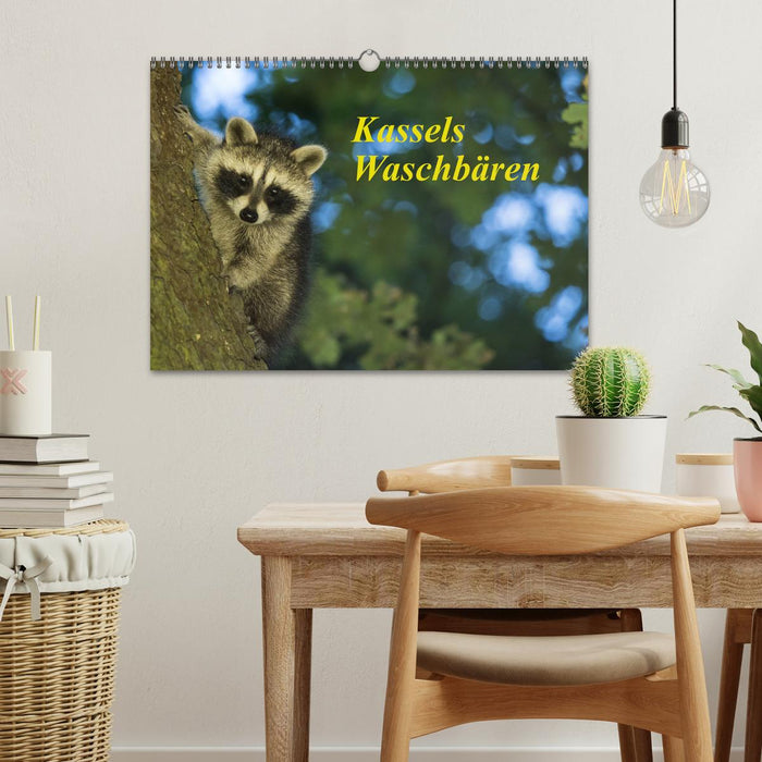 Kassels Waschbären (CALVENDO Wandkalender 2027)