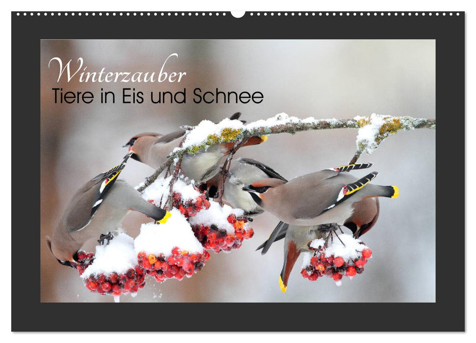 Winterzauber - Tiere in Eis und Schnee (CALVENDO Wandkalender 2027)