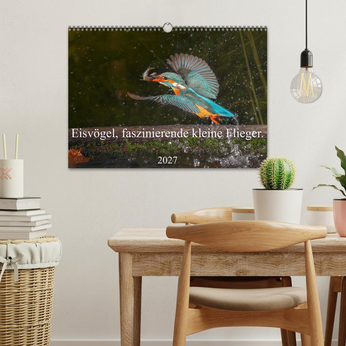 Eisvögel, faszinierende kleine Flieger. (CALVENDO Wandkalender 2027)