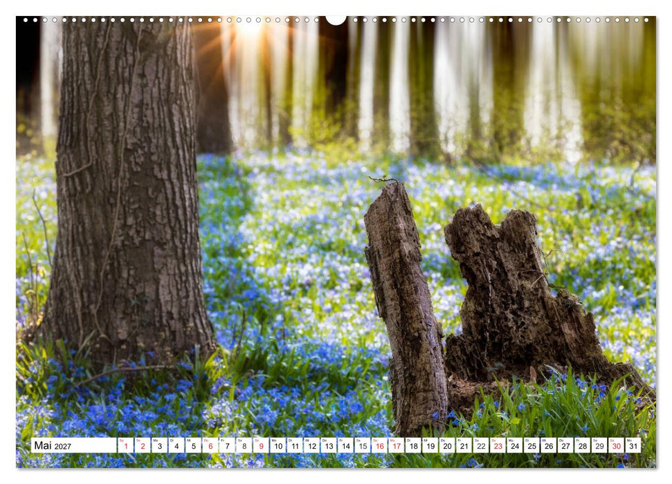Die Uckermark - Eine Reise durch die Toskana des Nordens (CALVENDO Premium Wandkalender 2027)