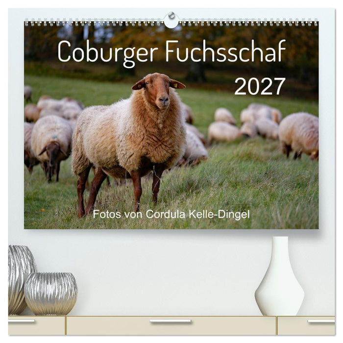 Coburger Fuchsschaf (CALVENDO Premium Wandkalender 2027)