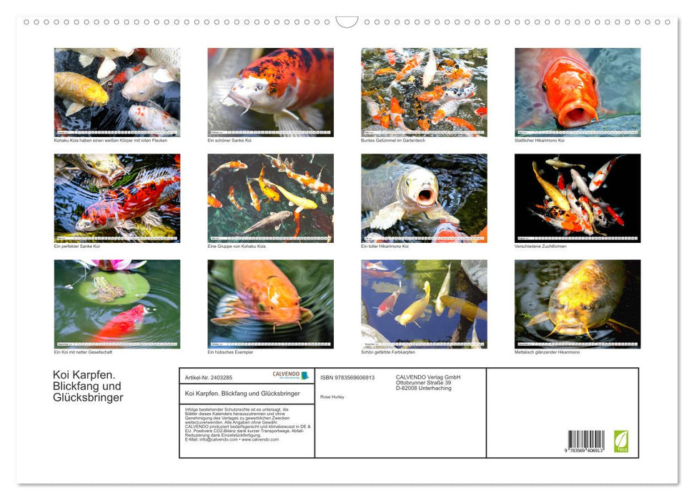 Koi Karpfen. Blickfang und Glücksbringer (CALVENDO Wandkalender 2027)