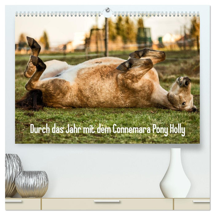 Durch das Jahr mit dem Connemara Pony Holly (CALVENDO Premium Wandkalender 2027)