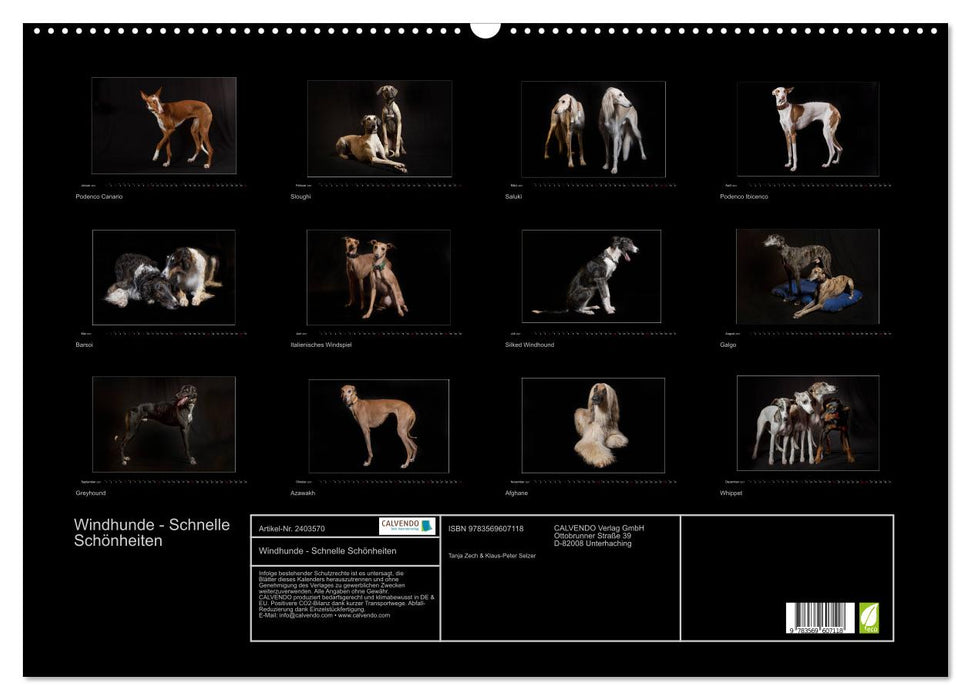Windhunde - Schnelle Schönheiten (CALVENDO Wandkalender 2027)