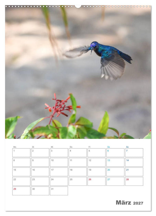 Jordanien ein Schatz im Orient (CALVENDO Premium Wandkalender 2027)