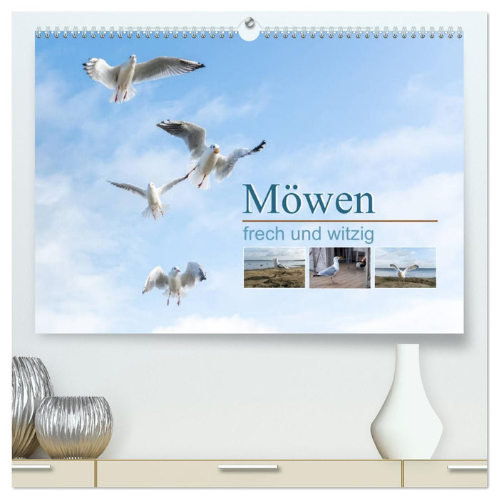Möwen frech und witzig (CALVENDO Premium Wandkalender 2027)