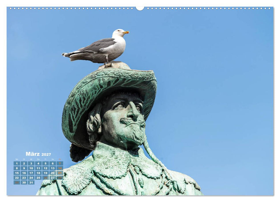 Möwen frech und witzig (CALVENDO Premium Wandkalender 2027)