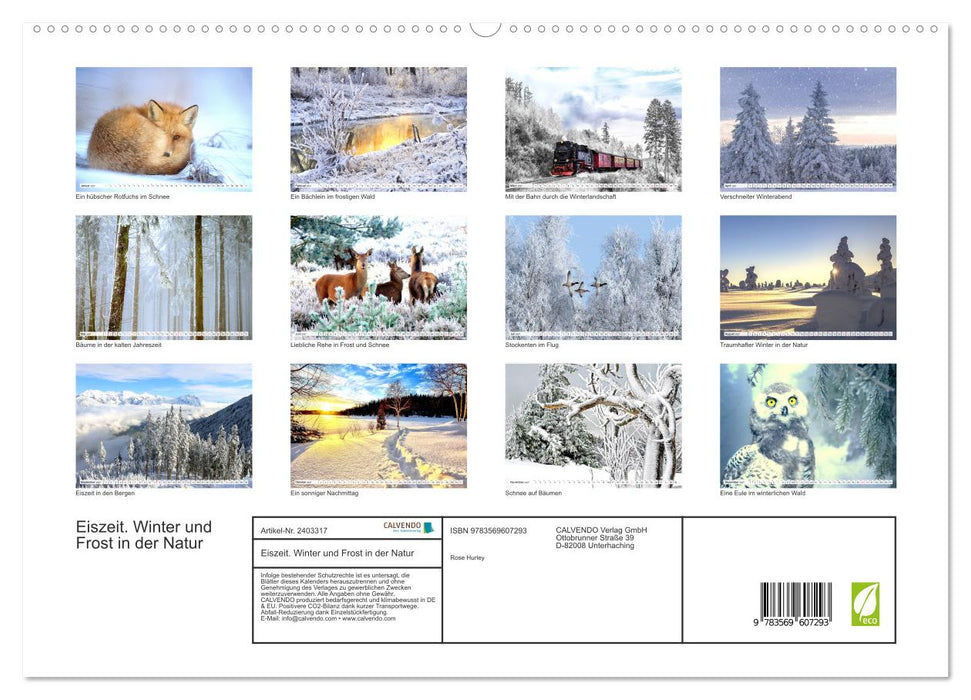 Eiszeit. Winter und Frost in der Natur (CALVENDO Premium Wandkalender 2027)