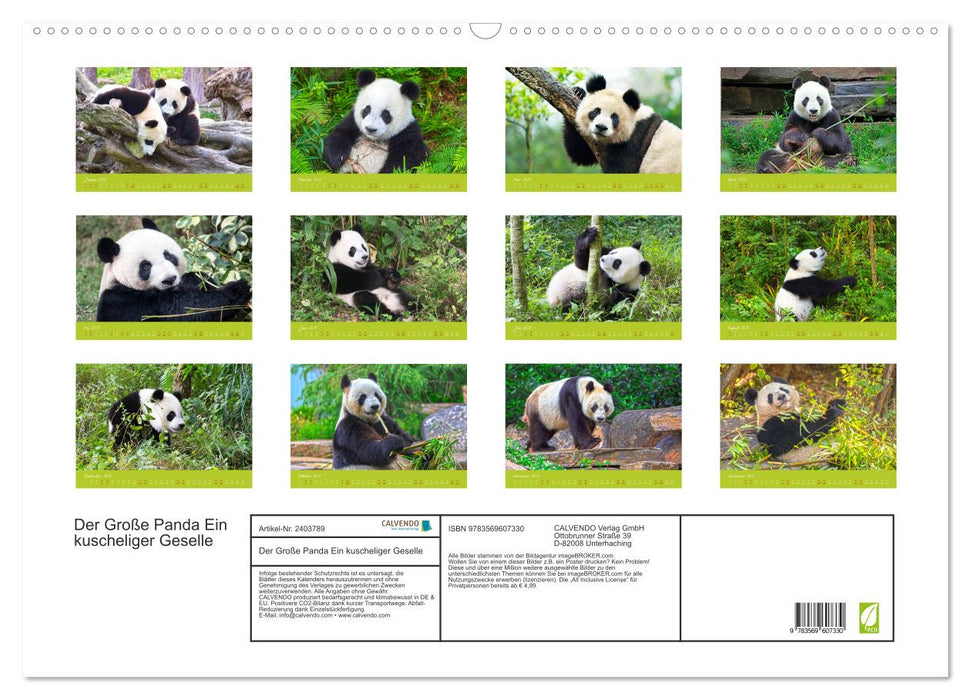 Der Große Panda Ein kuscheliger Geselle (CALVENDO Wandkalender 2027)