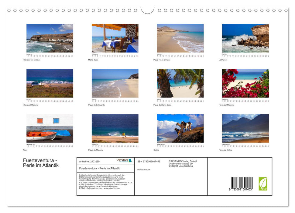 Fuerteventura - Perle im Atlantik (CALVENDO Wandkalender 2027)