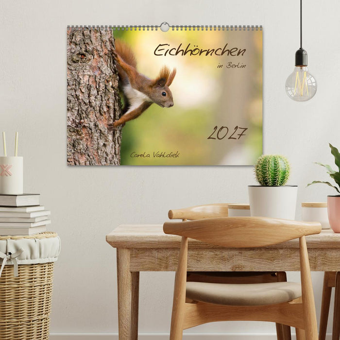 Eichhörnchen in Berlin (CALVENDO Wandkalender 2027)