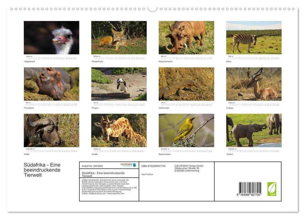 Südafrika - Eine beeindruckende Tierwelt (CALVENDO Wandkalender 2027)
