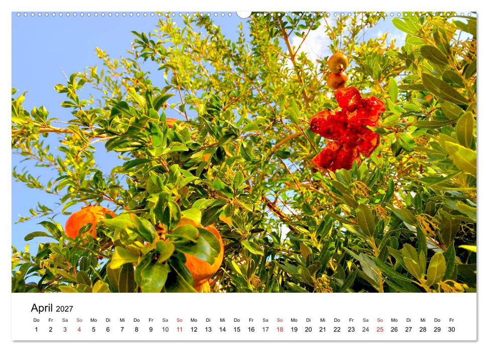 Wandern auf Menorca (CALVENDO Wandkalender 2027)