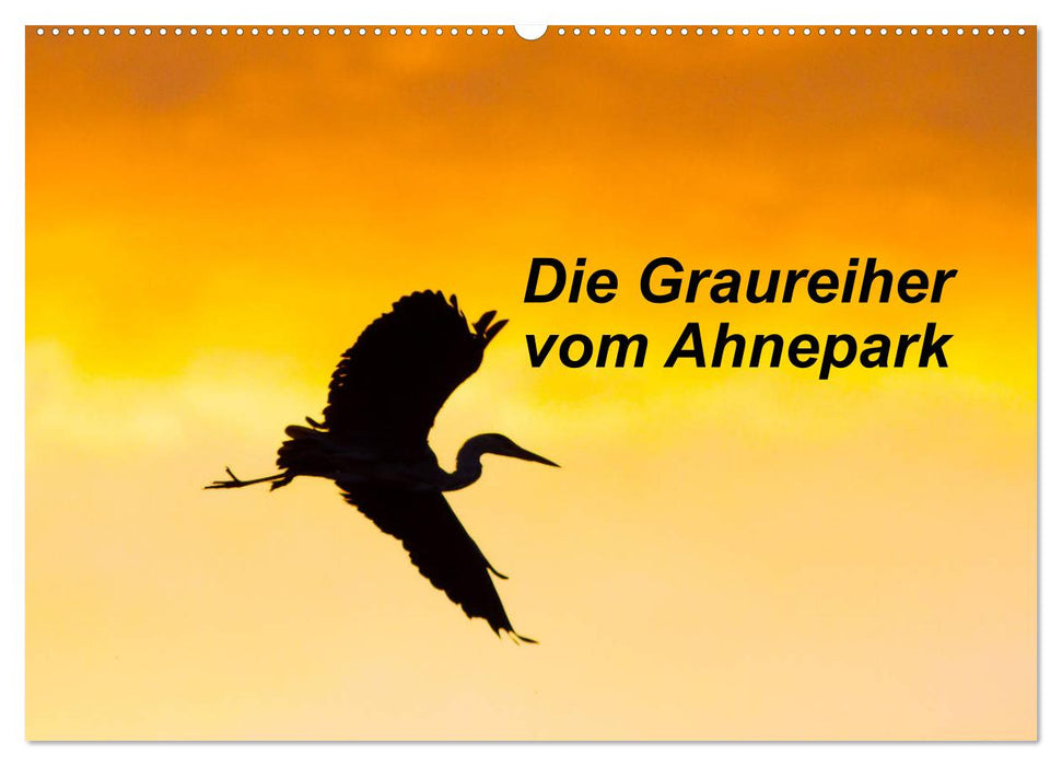 Die Graureiher vom Ahnepark (CALVENDO Wandkalender 2027)