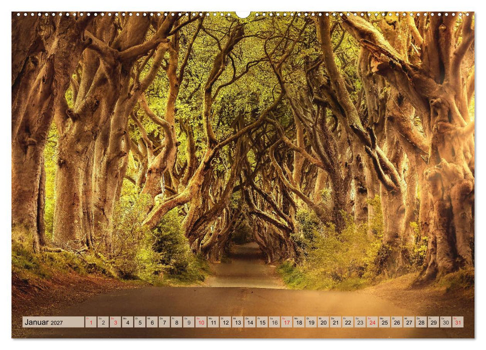 Leise durch den Wald. Sich Zeit nehmen und der Stille lauschen (CALVENDO Premium Wandkalender 2027)