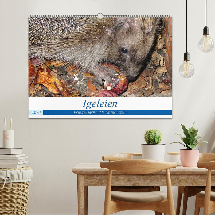 Igeleien - Begegnungen mit hungrigen Igeln (CALVENDO Wandkalender 2027)