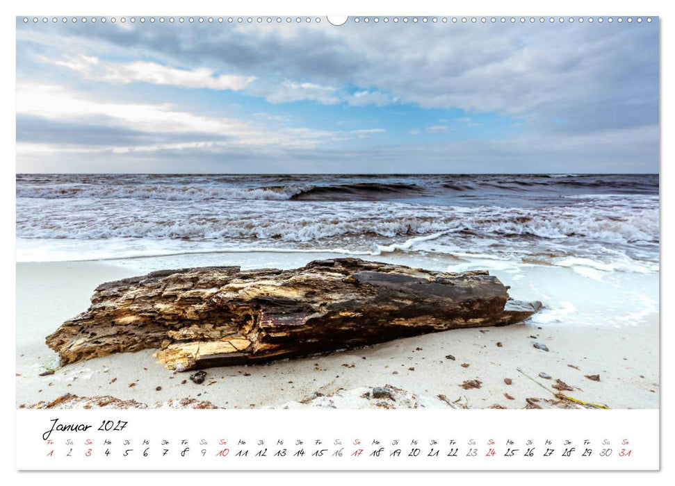 Mein Fischland! Unterwegs auf dem Darß (CALVENDO Wandkalender 2027)