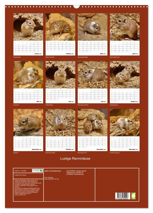 Lustige Rennmäuse (CALVENDO Wandkalender 2027)