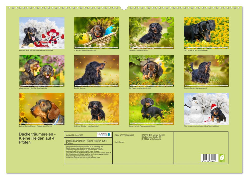 Dackelträumereien - Kleine Helden auf 4 Pfoten (CALVENDO Wandkalender 2027)