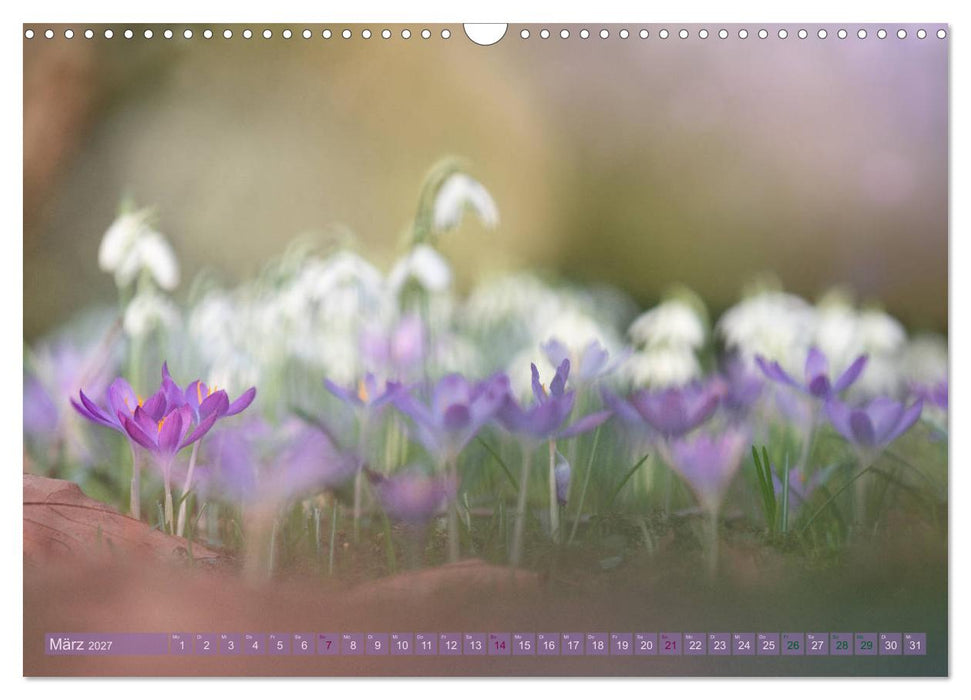 Naturschönheiten - mit Blüten und Pflanzen durch das Jahr (CALVENDO Wandkalender 2027)