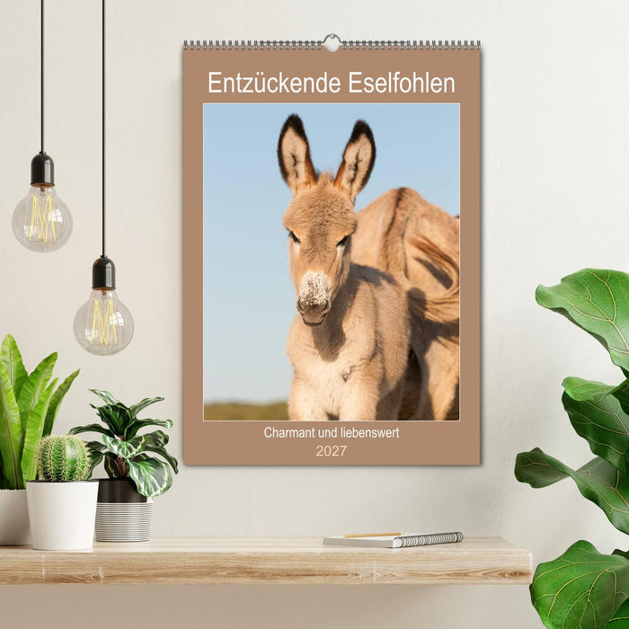 Entzückende Esel - Charmant und liebenswert (CALVENDO Wandkalender 2027)