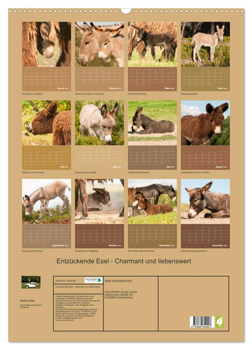 Entzückende Esel - Charmant und liebenswert (CALVENDO Wandkalender 2027)