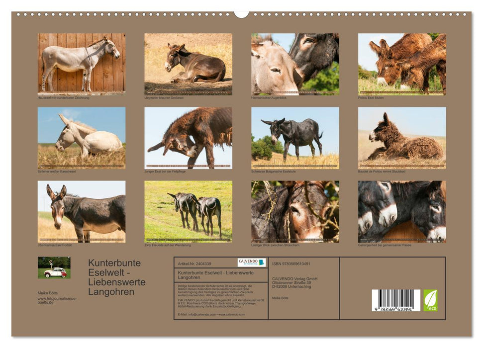 Kunterbunte Eselwelt - Liebenswerte Langohren (CALVENDO Premium Wandkalender 2027)