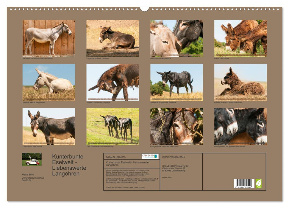 Kunterbunte Eselwelt - Liebenswerte Langohren (CALVENDO Wandkalender 2027)
