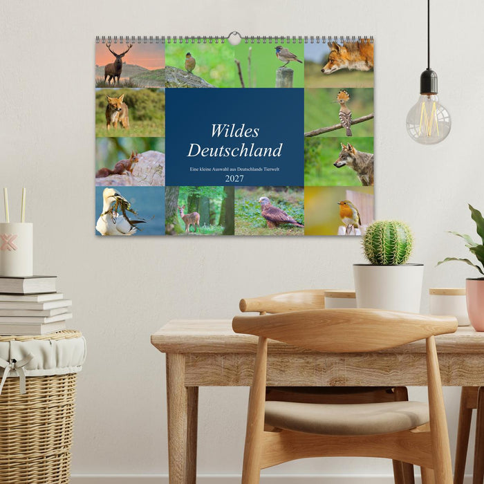 Wildes Deutschland (CALVENDO Wandkalender 2027)