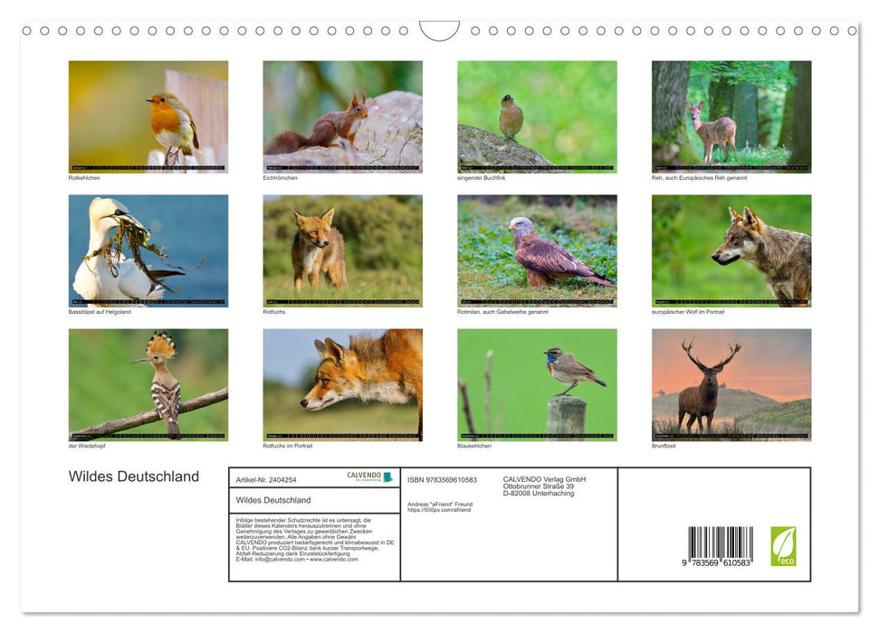 Wildes Deutschland (CALVENDO Wandkalender 2027)