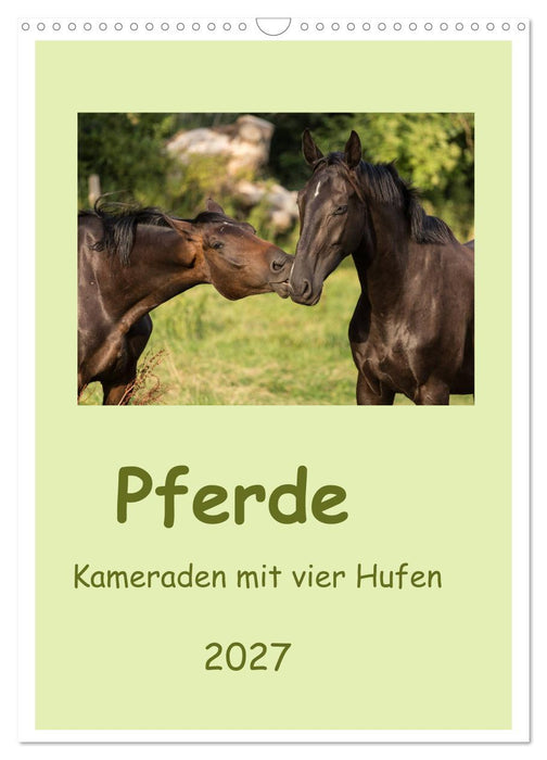 Pferde - Kameraden mit vier Hufen (CALVENDO Wandkalender 2027)