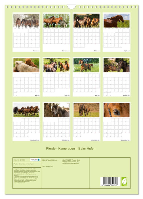 Pferde - Kameraden mit vier Hufen (CALVENDO Wandkalender 2027)