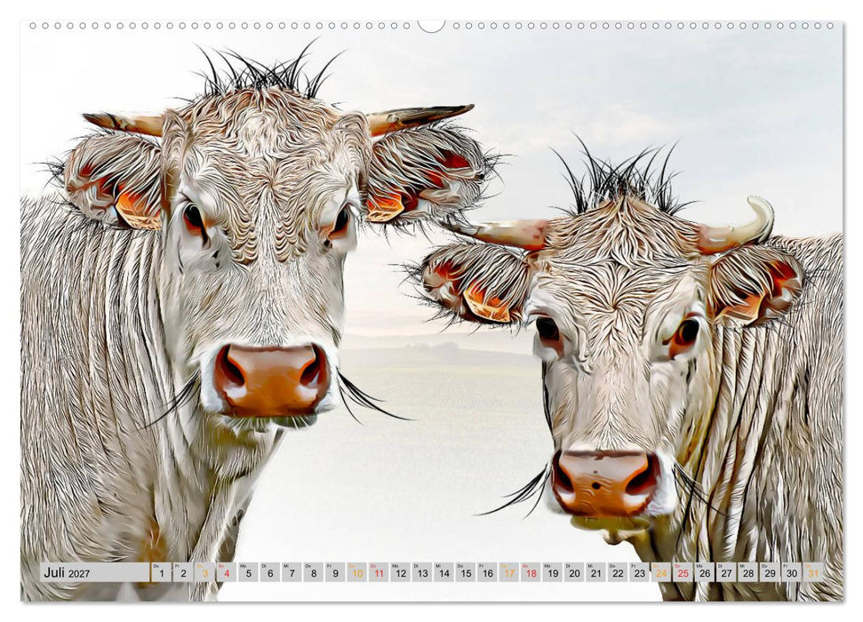 Rindviecher unglaublich (CALVENDO Premium Wandkalender 2027)