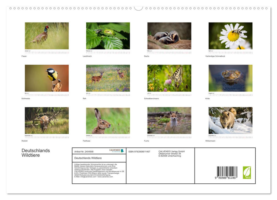 Deutschlands Wildtiere (CALVENDO Premium Wandkalender 2027)