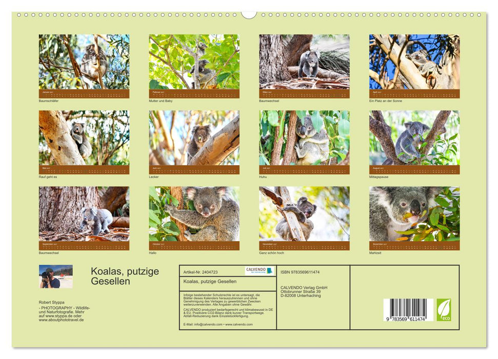 Koalas, putzige Gesellen (CALVENDO Premium Wandkalender 2027)
