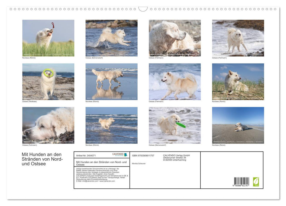 Mit Hunden an den Stränden von Nord- und Ostsee (CALVENDO Wandkalender 2027)