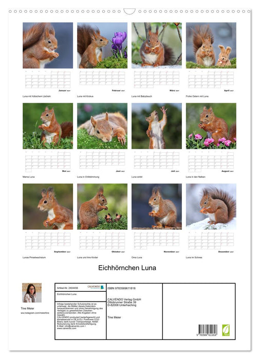 Eichhörnchen Luna (CALVENDO Wandkalender 2027)