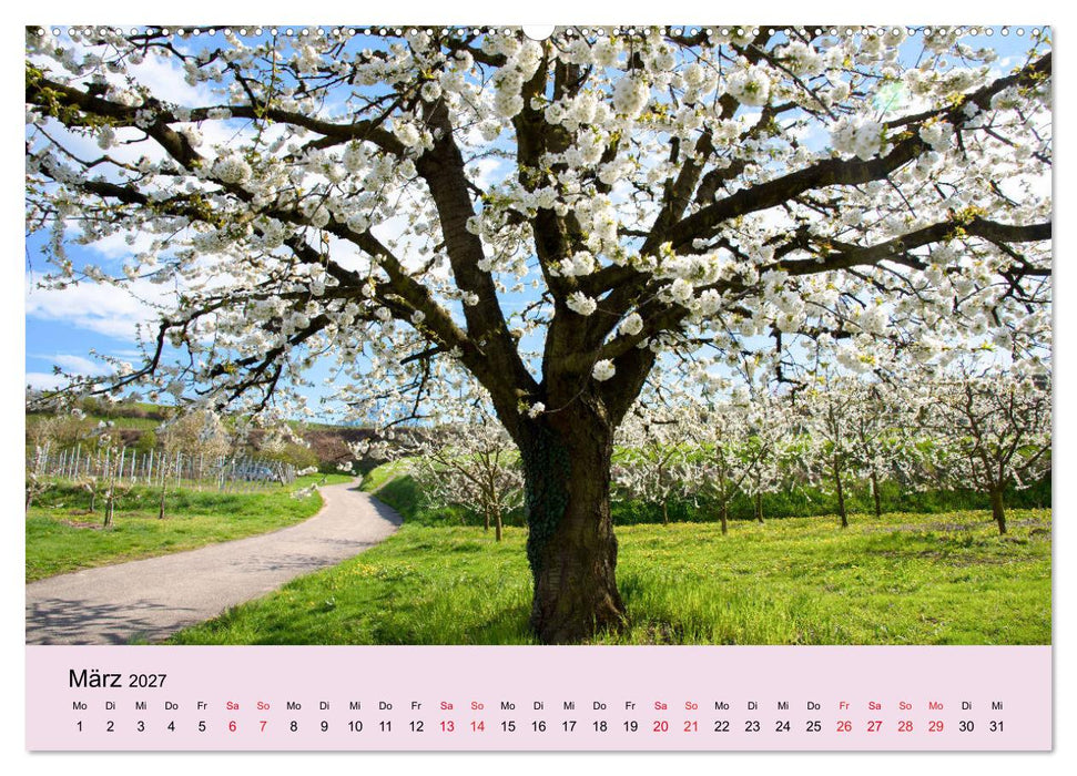Augenblicke im Kaiserstuhl (CALVENDO Wandkalender 2027)