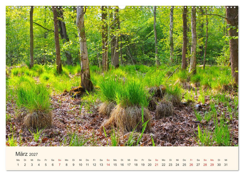 Ummanz - Naturparadies in der Rügener Boddenlandschaft (CALVENDO Wandkalender 2027)
