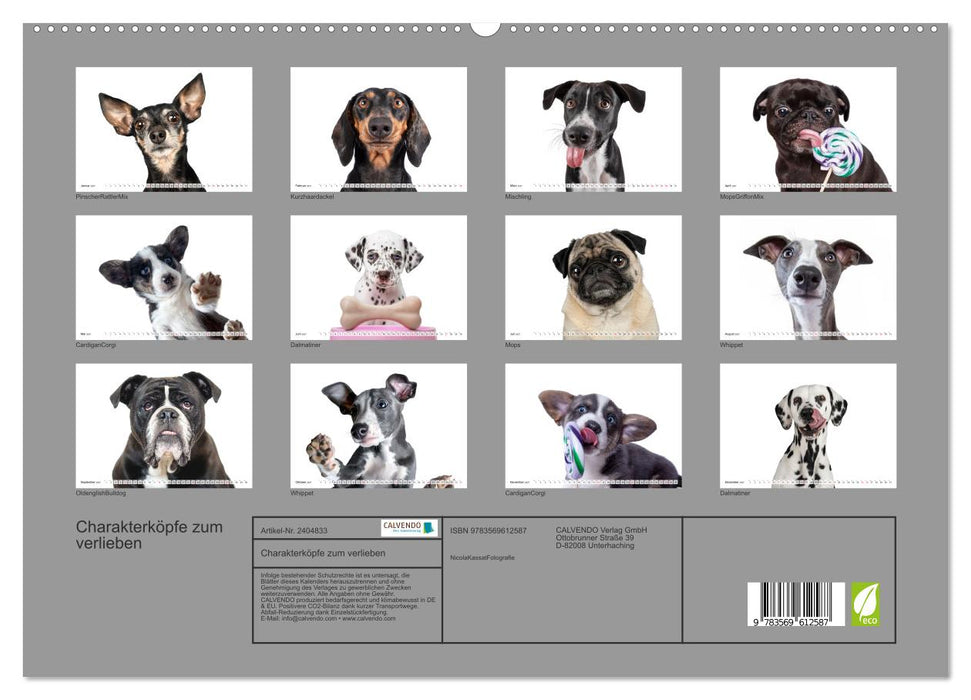 Charakterköpfe zum verlieben (CALVENDO Wandkalender 2027)