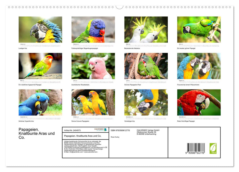 Papageien. Knallbunte Aras und Co. (CALVENDO Premium Wandkalender 2027)