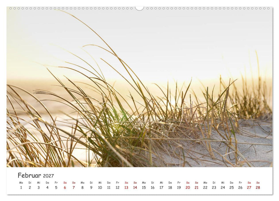 Dünen und Meer Nordseemomente (CALVENDO Wandkalender 2027)