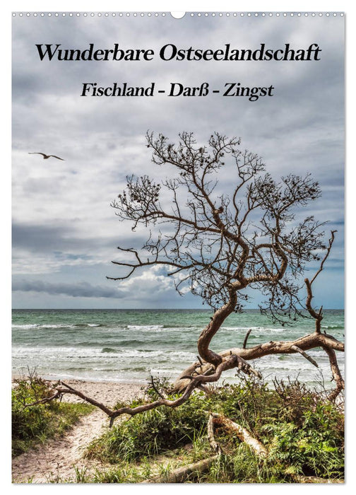 Wunderbare Ostseelandschaft Fischland-Darß-Zingst (CALVENDO Wandkalender 2027)