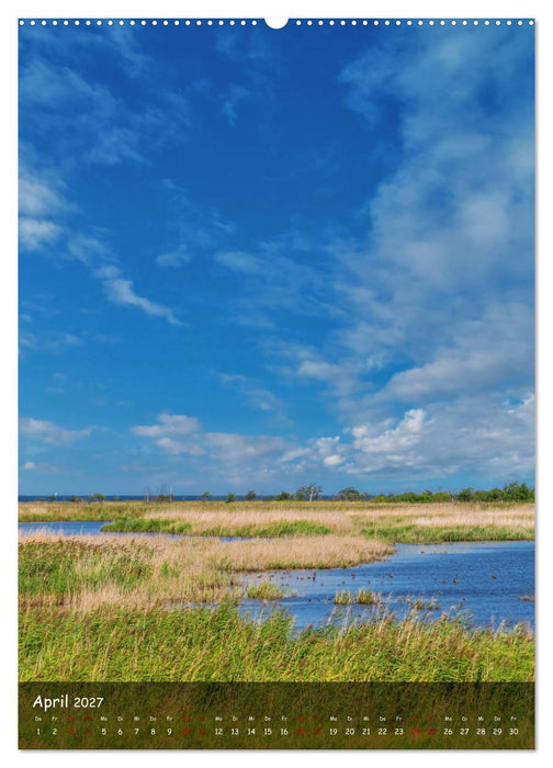 Wunderbare Ostseelandschaft Fischland-Darß-Zingst (CALVENDO Wandkalender 2027)