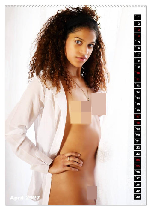 Beauty Akt 2027 (CALVENDO Wandkalender 2027)